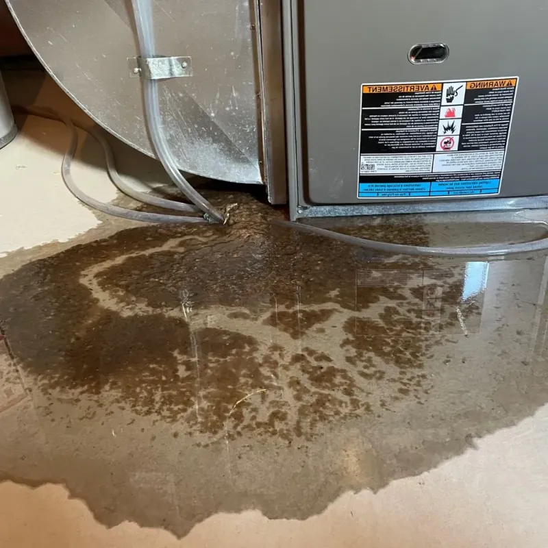 Pipe Burst and Leak Restoration in Wethersfield, CT